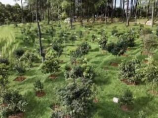 Ciguha Rivers Jadi Andalan Wisata Desa Bantar Karet, Dongkrak Ekonomi Warga