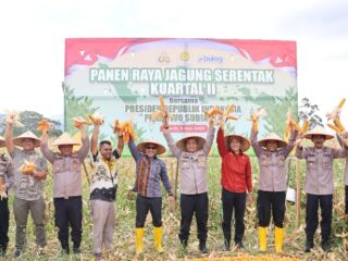Presiden Prabowo Pimpin Panen Raya Jagung Serentak, Tapsel Jadi Salah Satu Lokasi Andalan