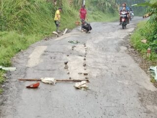Darurat Kecelakaan, Warga Citumbuk Swadaya Perbaiki Jalan Kabupaten yang Diabaikan