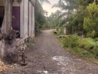 Janji Manis Geuchik Tanjung Drien Buyar, Proyek Jalan 300 Meter Tinggal Kenangan