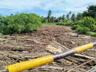 Mengerikan! Limbah Kayu Ilegal Loging Tutupi Setengah Waduk Keureuto, Jembatan ExxonMobil Terancam Ambruk